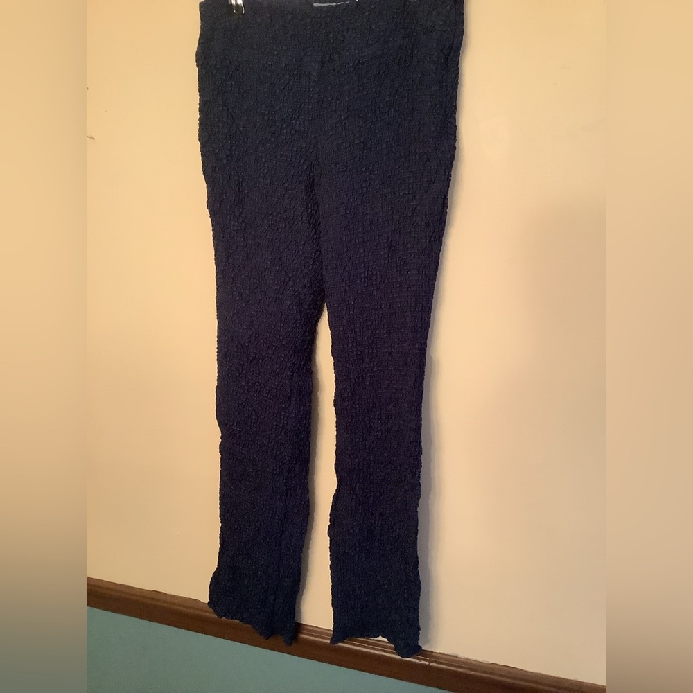 Blue Blue Japan Straight Leg Crinkle Pants XS